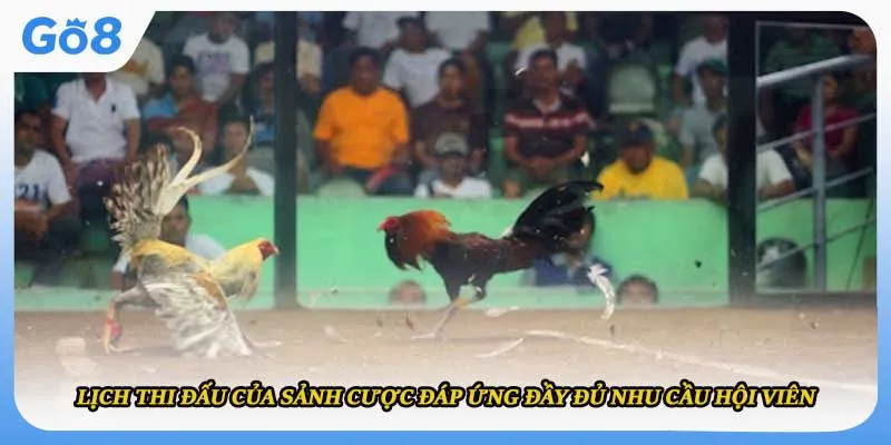 Lịch thi đấu của sảnh cược đáp ứng đầy đủ nhu cầu hội viên