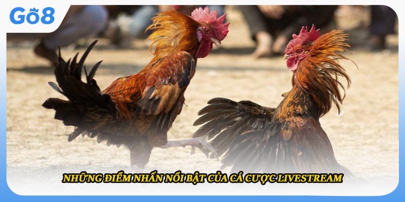 Những điểm nhấn nổi bật của cá cược livestream