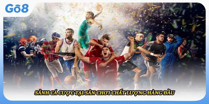 Sảnh cá cược tại sân chơi chất lượng hàng đầu